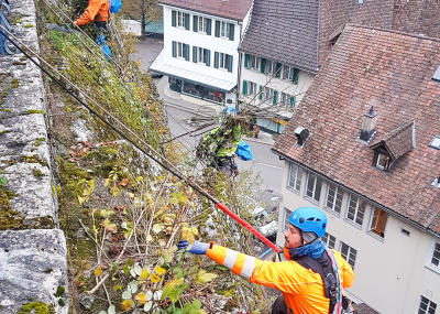 Grünwuchsentfernung Kirchenfels Aarburg