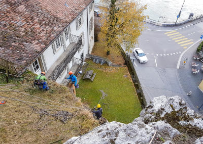 Sträucher schneiden in einer Felswand unterhalb der reformierten Kirche Aarburg, Auflage 2017
