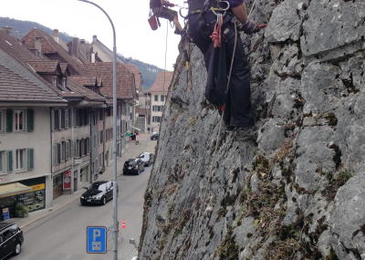 Sträucher schneiden und Moos entfernen am Kirchenfels Aarburg